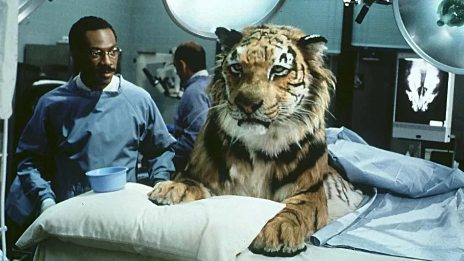 Фото: Кадр из фильма «Доктор Дулиттл», реж. Бетти Томас, 1998