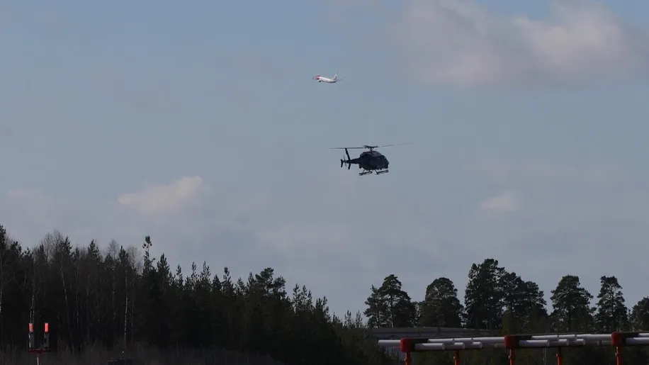 Фото: Dino021/Shutterstock/Fotodom