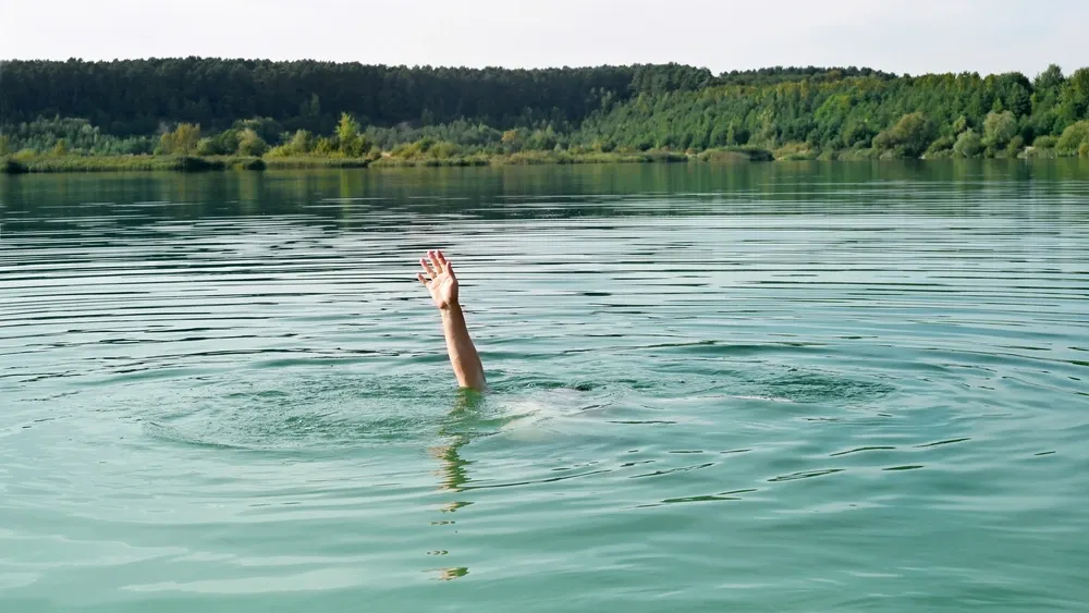 Фото: Belight/shutterstock.com