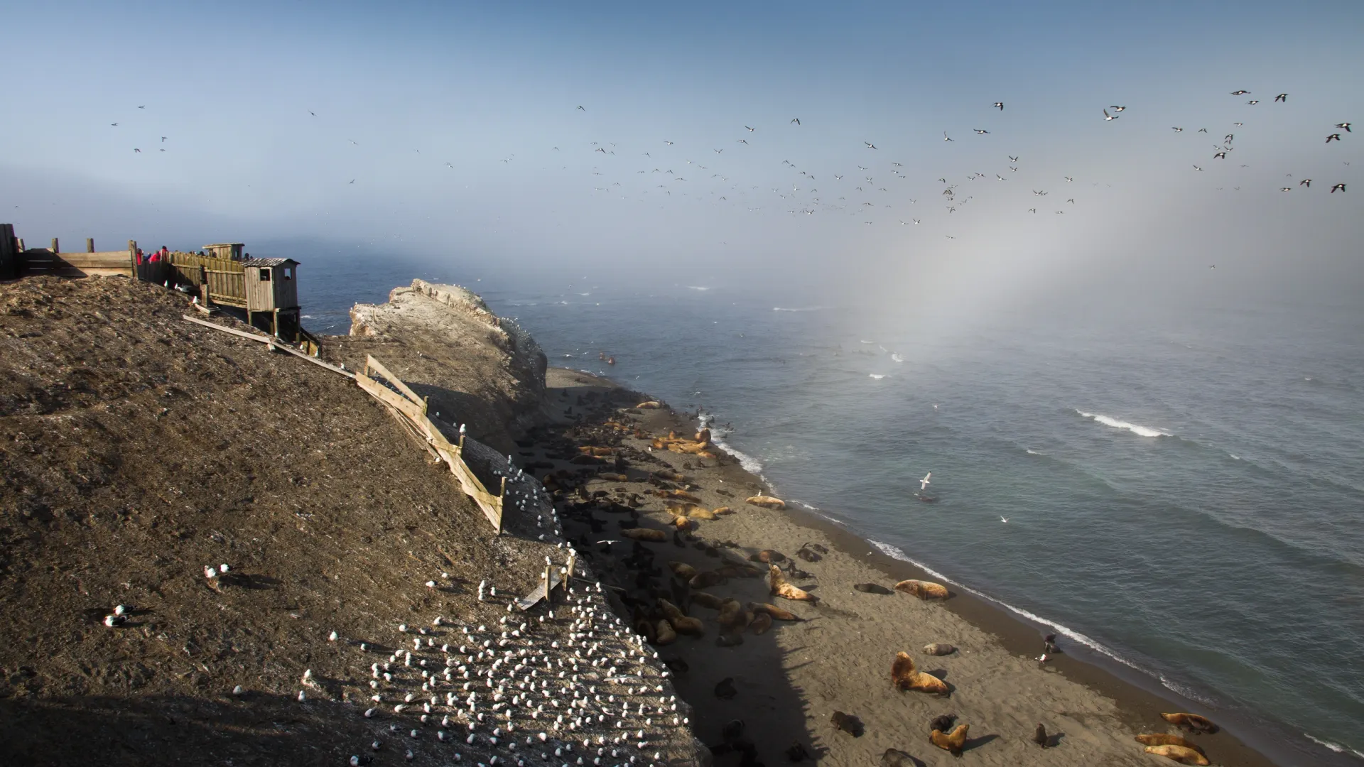 Фото: Janelle Lugge/Shutterstock/Fotodom