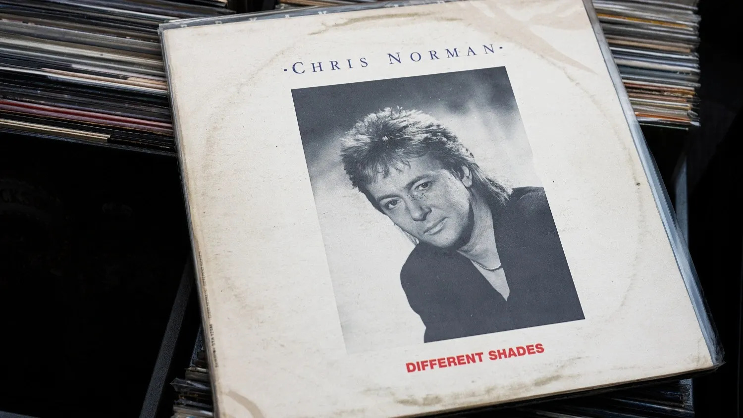 Фото: AS photo family/Shutterstock/Fotodom