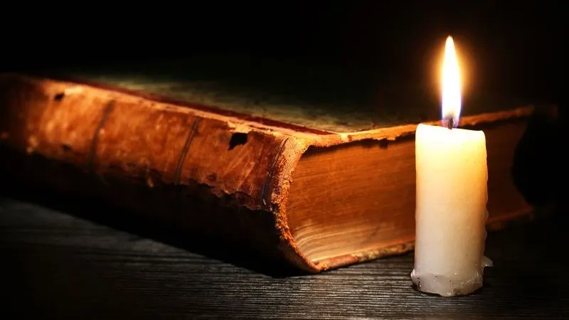 Фото: cosma/Shutterstock/Fotodom