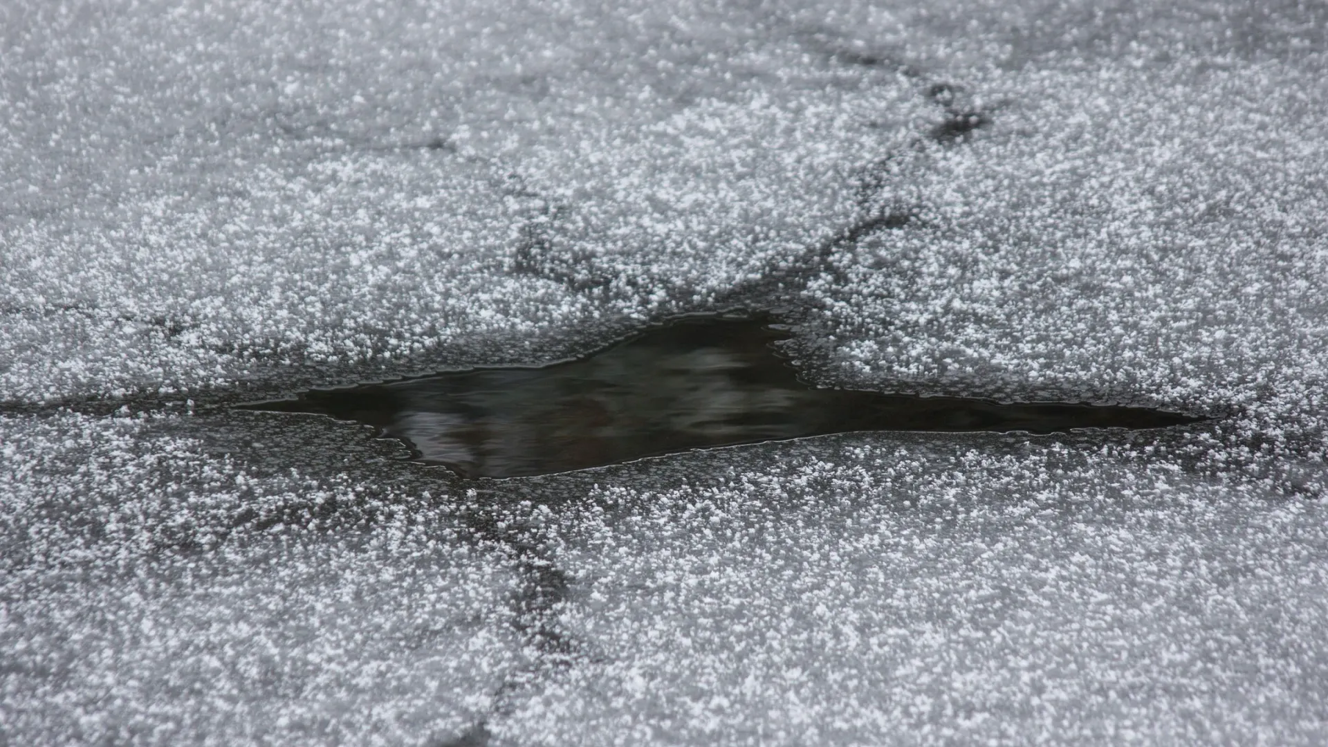 Фото: Aliaksander Karankevich/Shutterstock/Fotodom