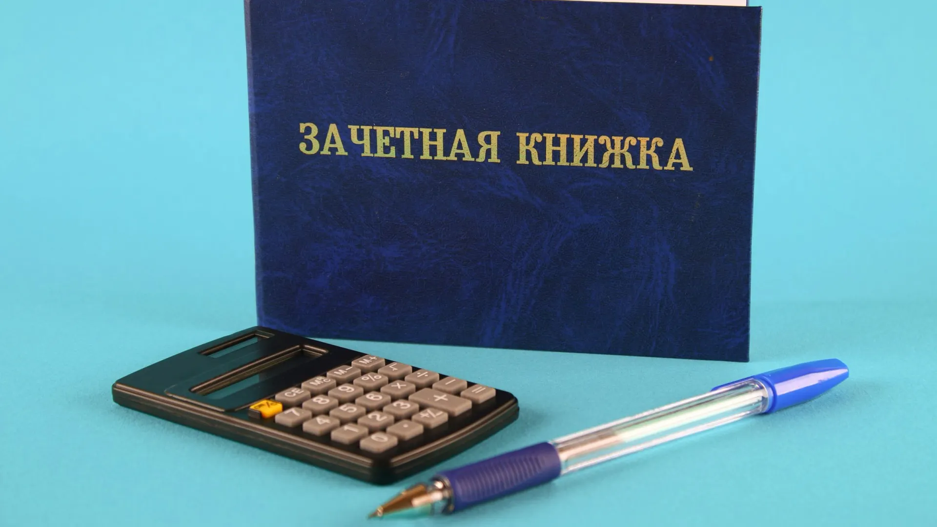 Фото: Olya Detry/Shutterstock/Fotodom