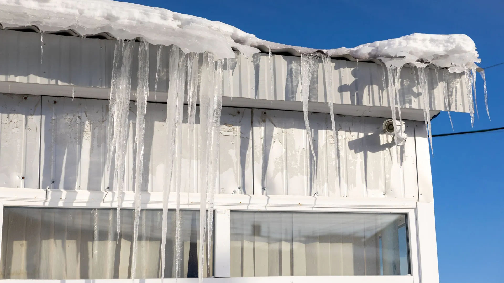 Фото: Федор Воронов/«Ямал-Медиа»