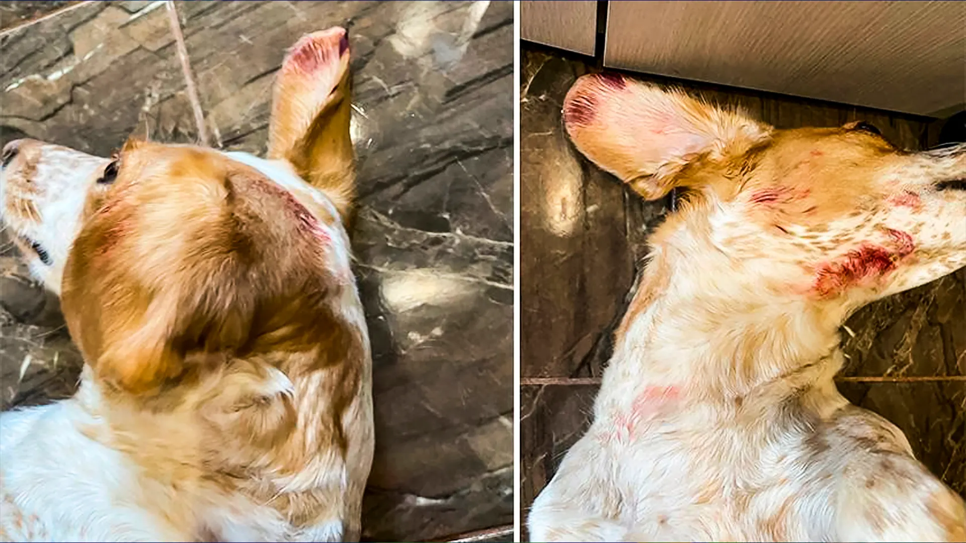 Фото: noyabrsk24.ru