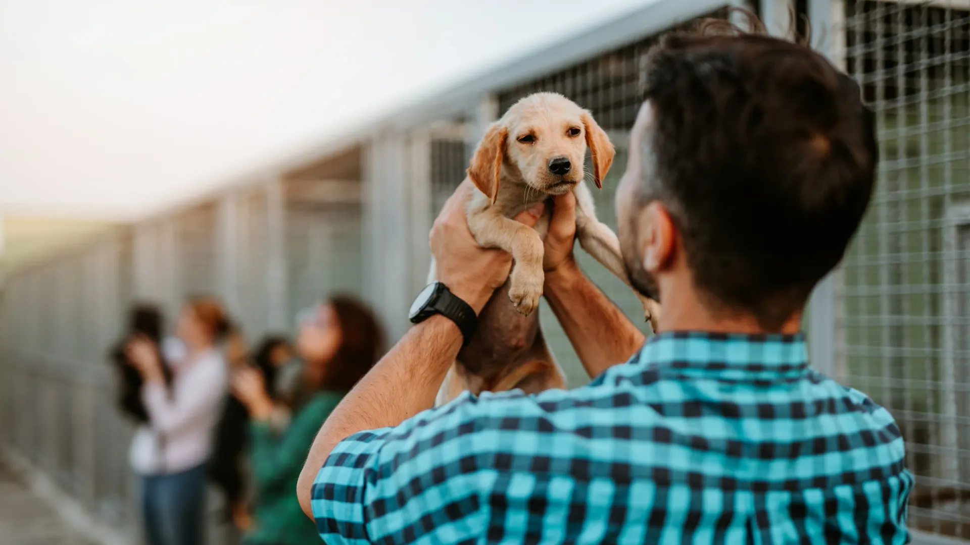 Фото: hedgehog94/Shutterstock/Fotodom