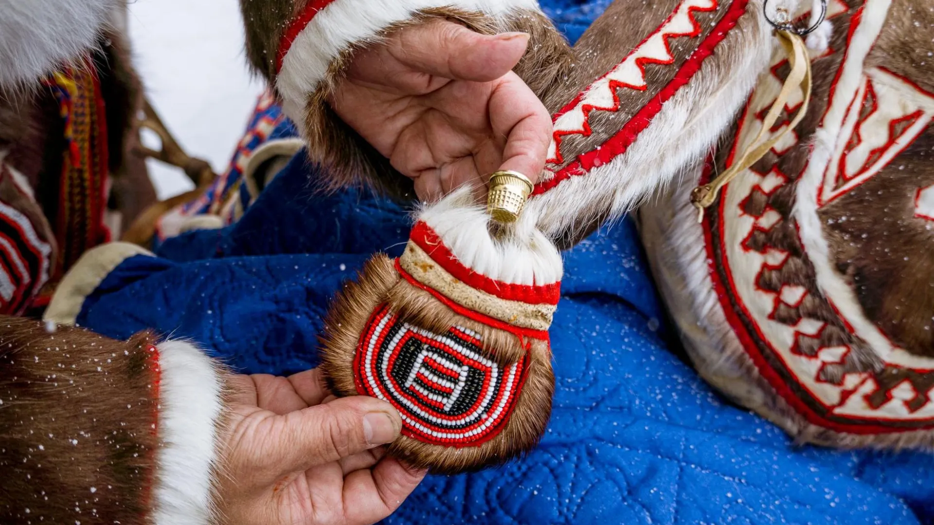 Фото: Юлия Чудинова/«Ямал-Медиа»