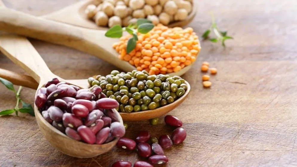 Фото: Dream79/Shutterstock/Fotodom