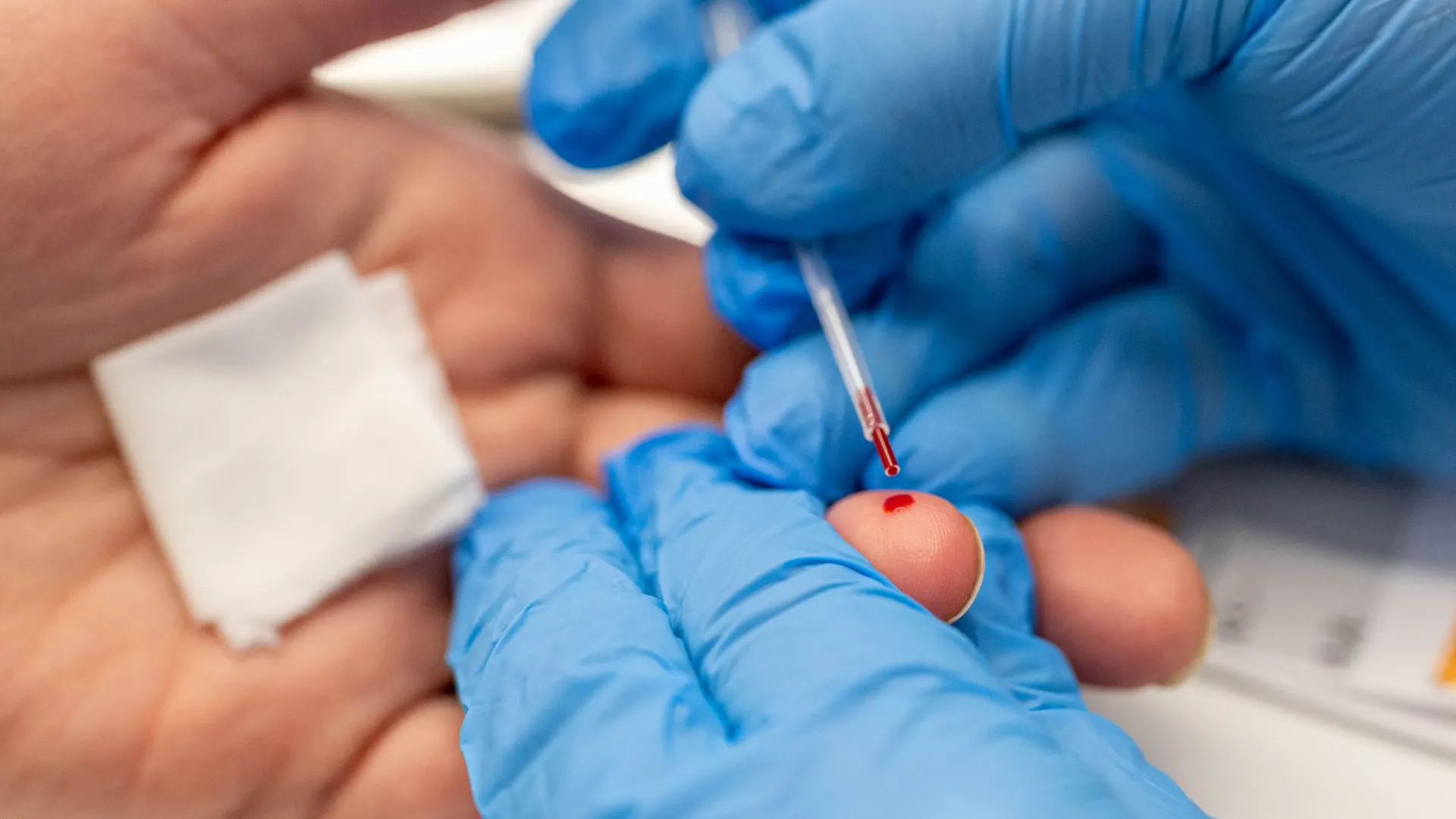 Фото: Александр Чирва/«Ямал-Медиа»