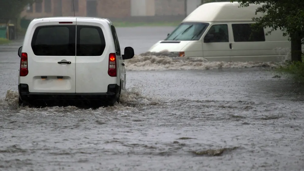 Фото: Scherbinator/Shutterstock/Fotodom