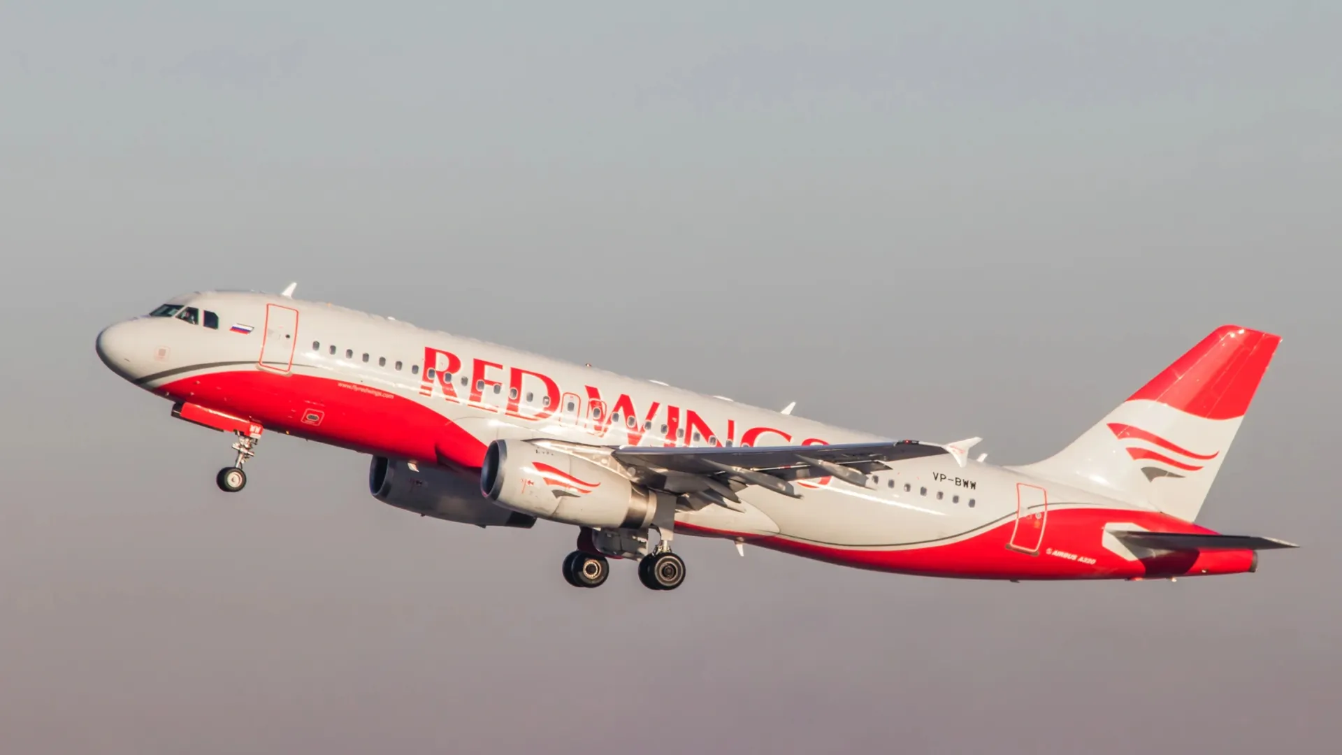 Фото: alenka2194/Shutterstock/Fotodom