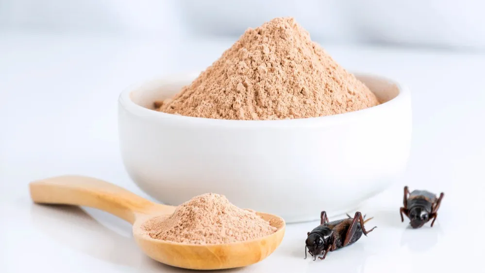 Фото: nicemyphoto/Shutterstock/Fotodom