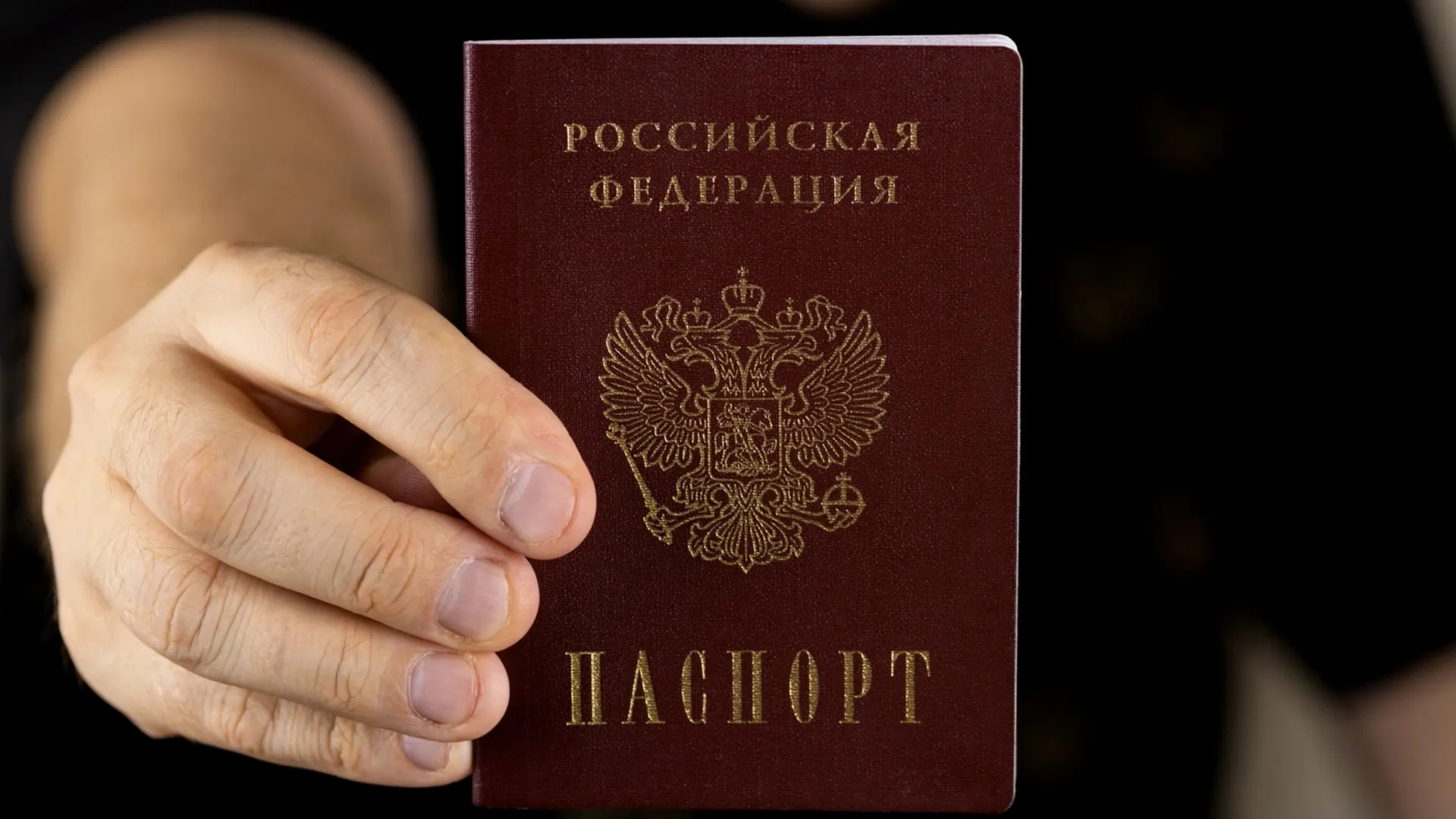 Фото: richir/Shutterstock/Fotodom