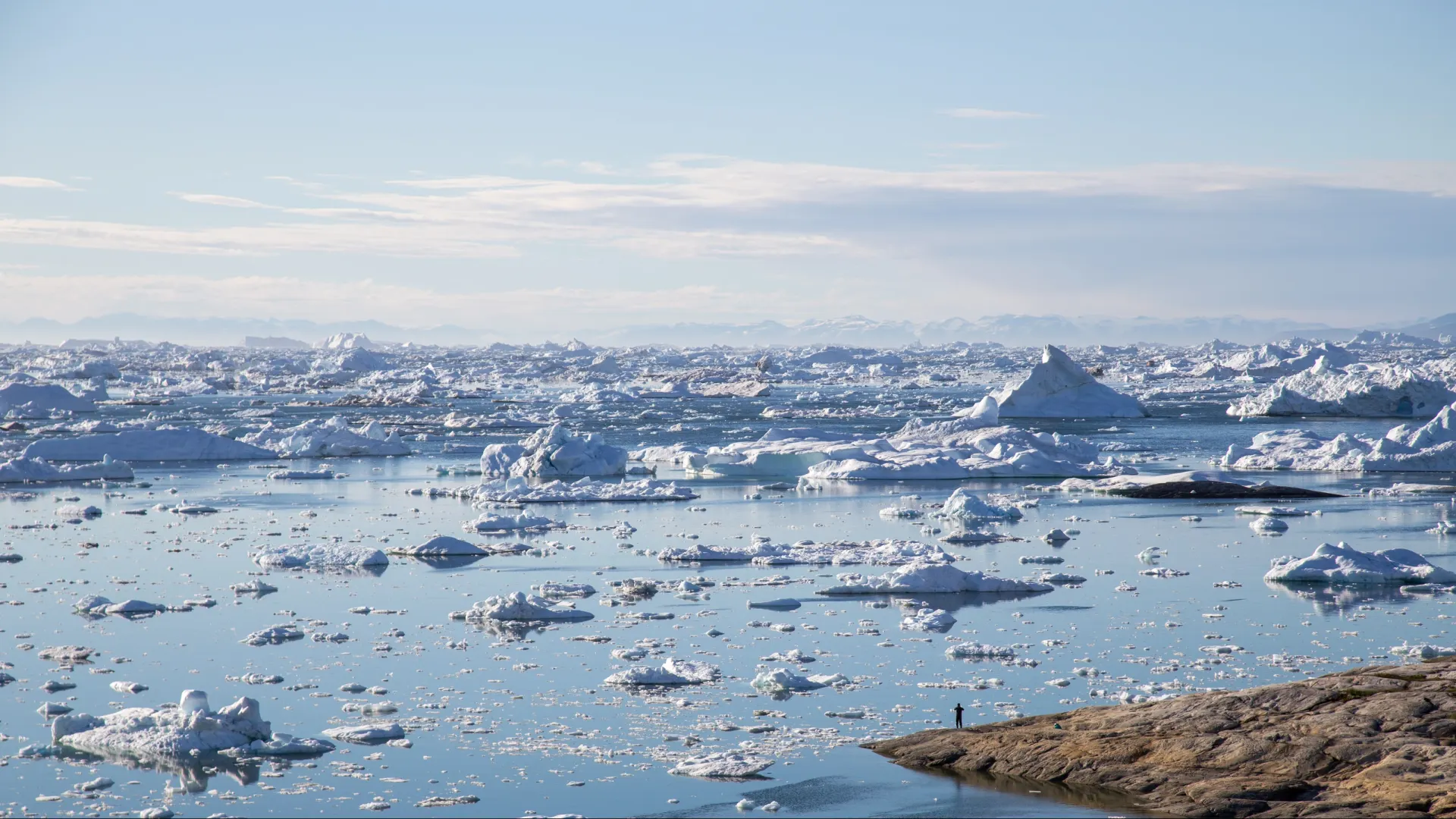 Фото: Oliver Foerstner/Shutterstock/Fotodom