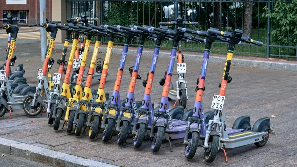 Фото: Aleksei Golovanov/Shutterstock/Fotodom