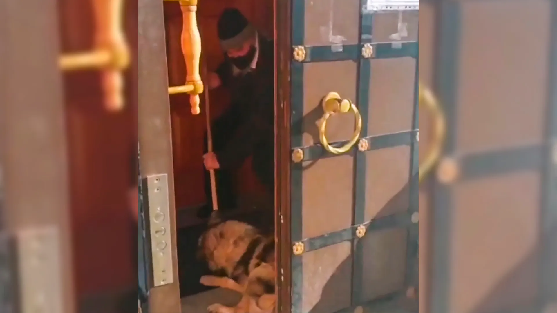 Фото: vk.com/chptmn