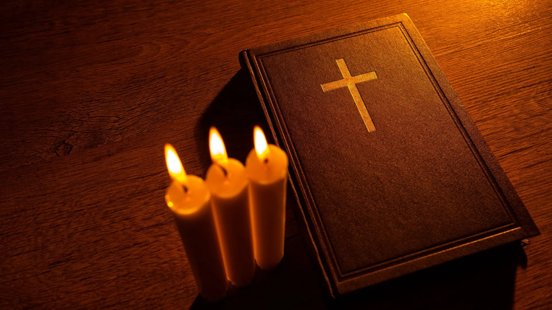 Фото: FOTOGRIN/Shutterstock/Fotodom