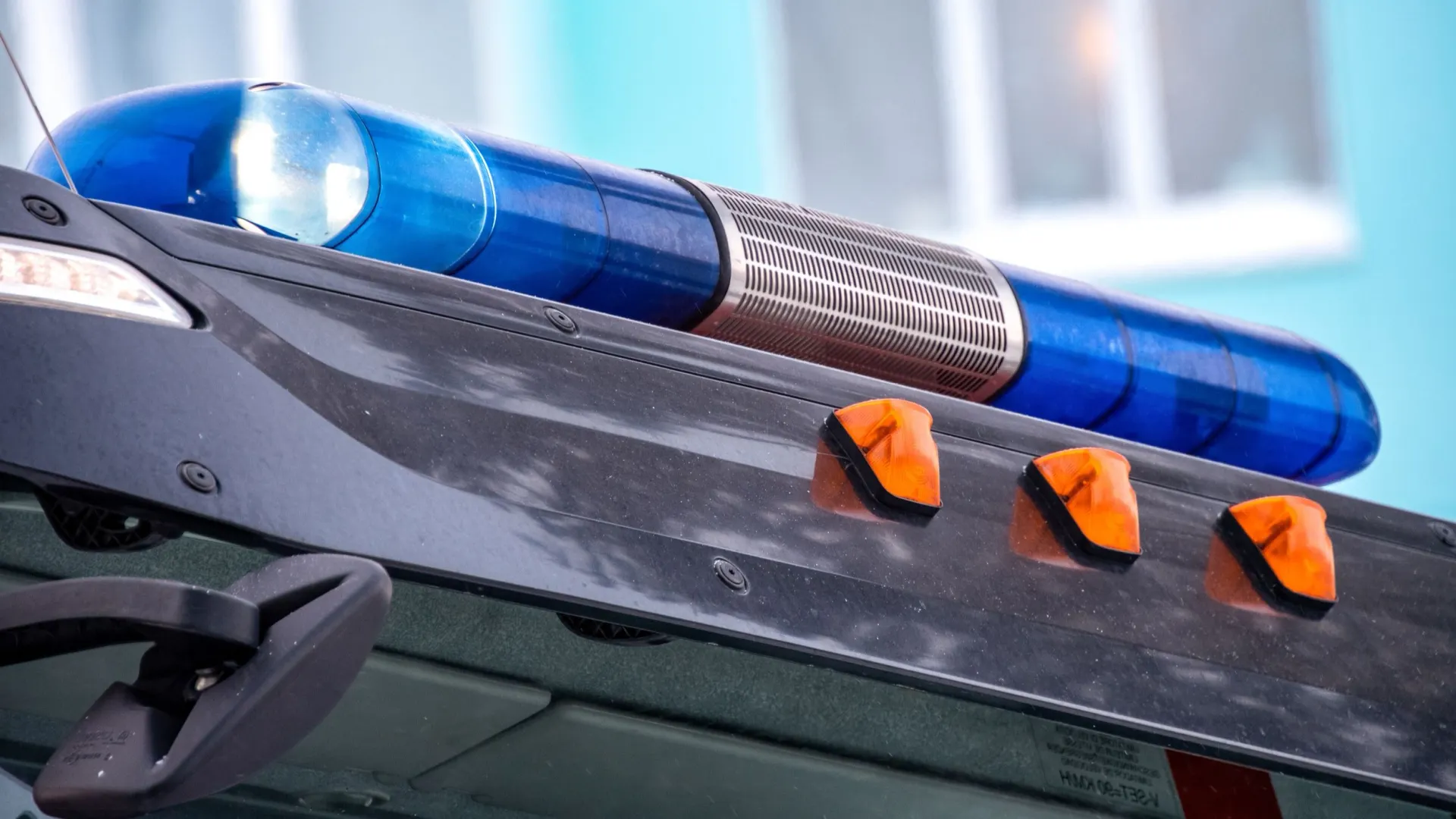 Фото: Юрий Здебский/«Ямал-Медиа»