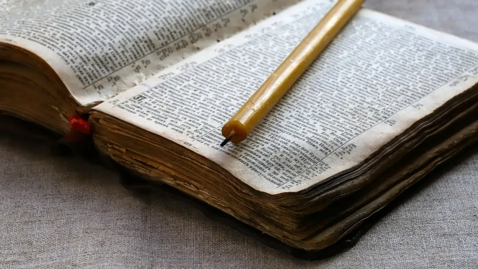 Фото: Stepanych/Shutterstock/Fotodom