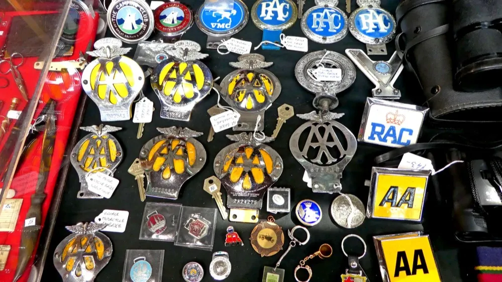 Фото: RogerMechan/Shutterstock/Fotodom