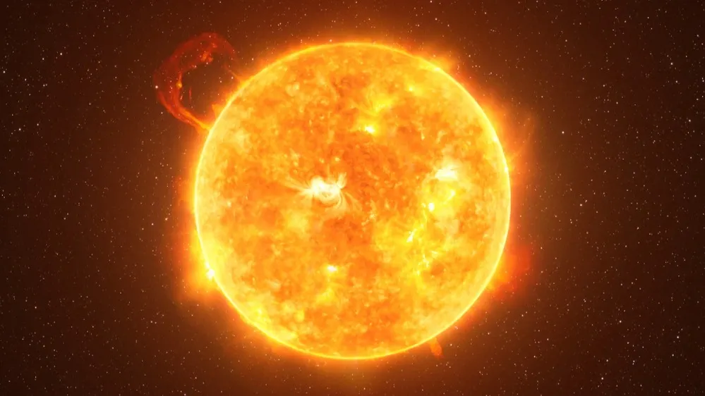 Фото: Lukasz Pawel Szczepanski/Shutterstock/Fotodom