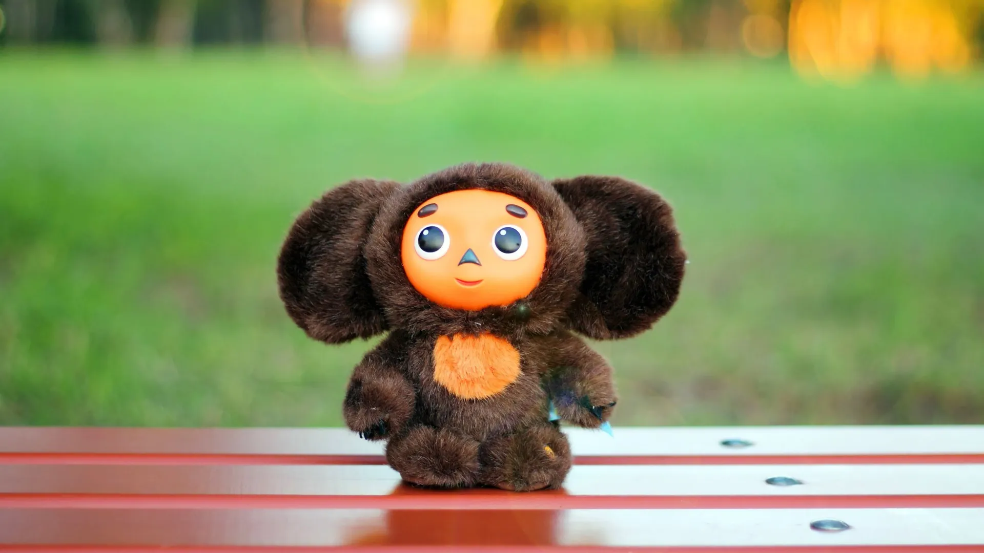 Фото: superalena/Shutterstock/Fotodom