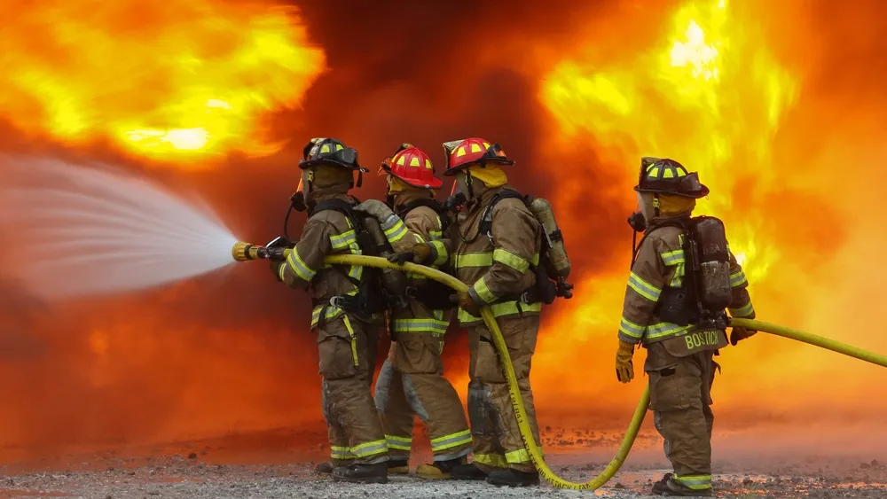 Фото: Gregory Simpson/Shutterstock/Fotodom