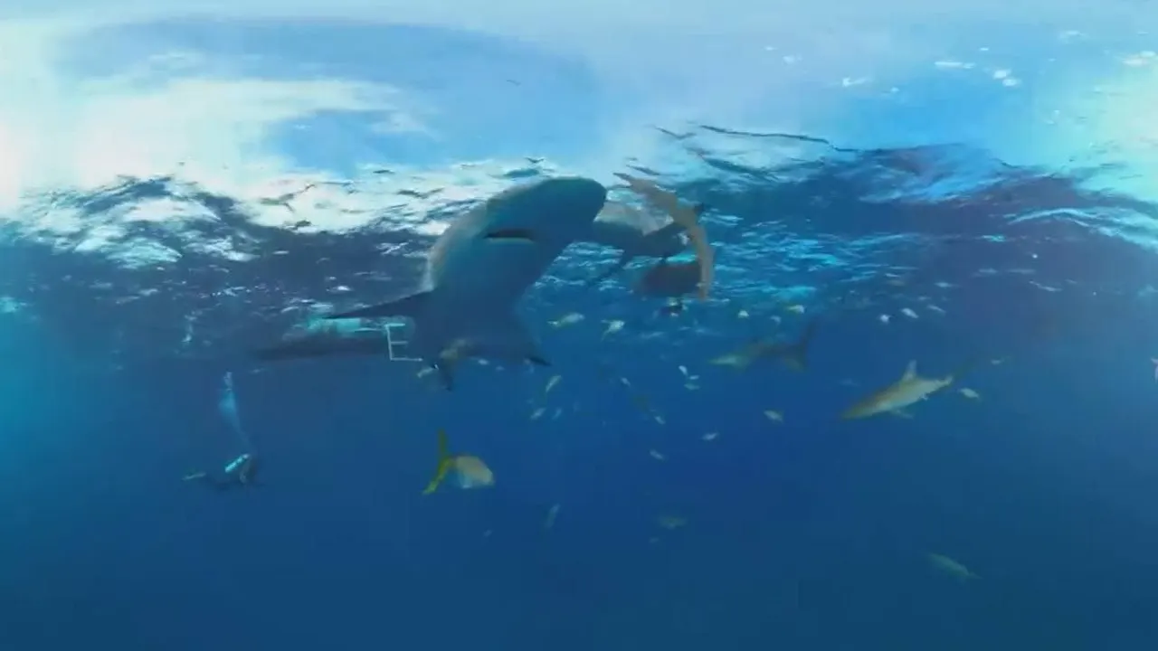 Стоп-кадр видео канала AirPano. 