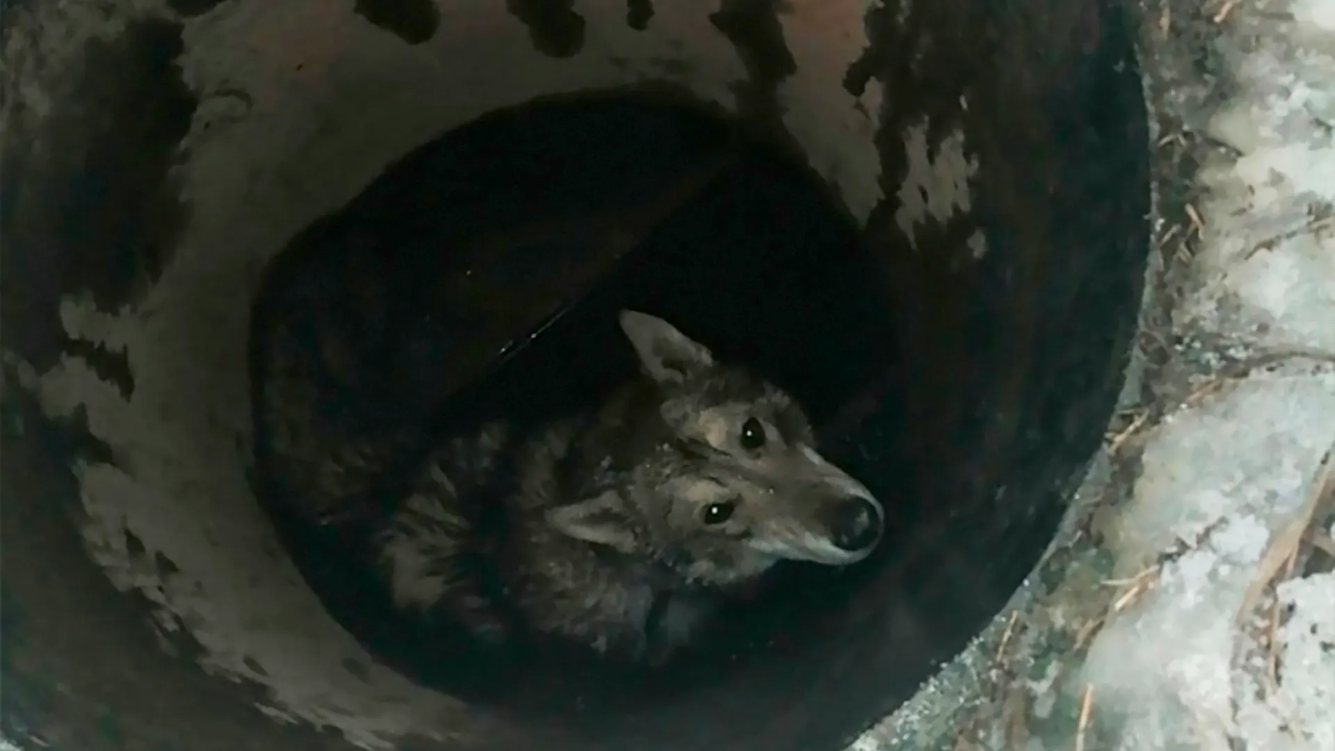 Фото: tyumen.rosvodokanal