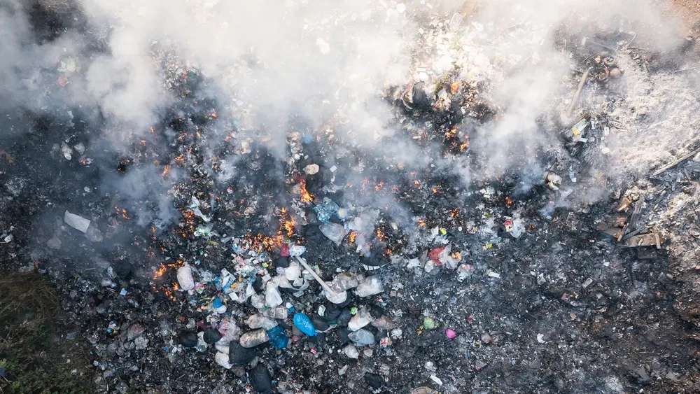 Фото: DifferR / shutterstock.com