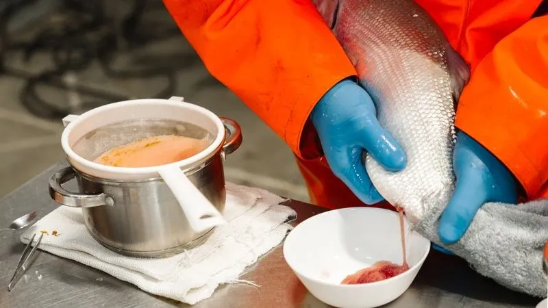 Фото: Julia Chudinova/«Ямал-Медиа»