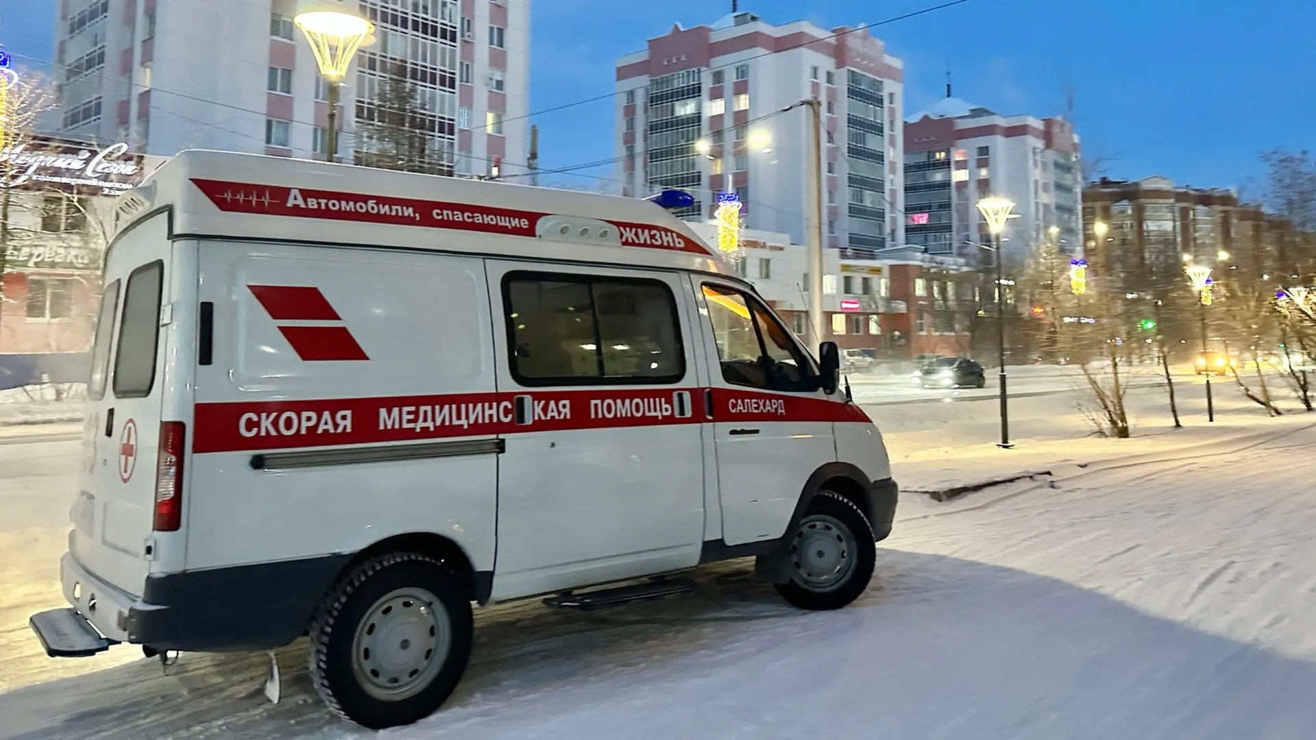 Фото: Андрей Ткачев / «Ямал-Медиа»