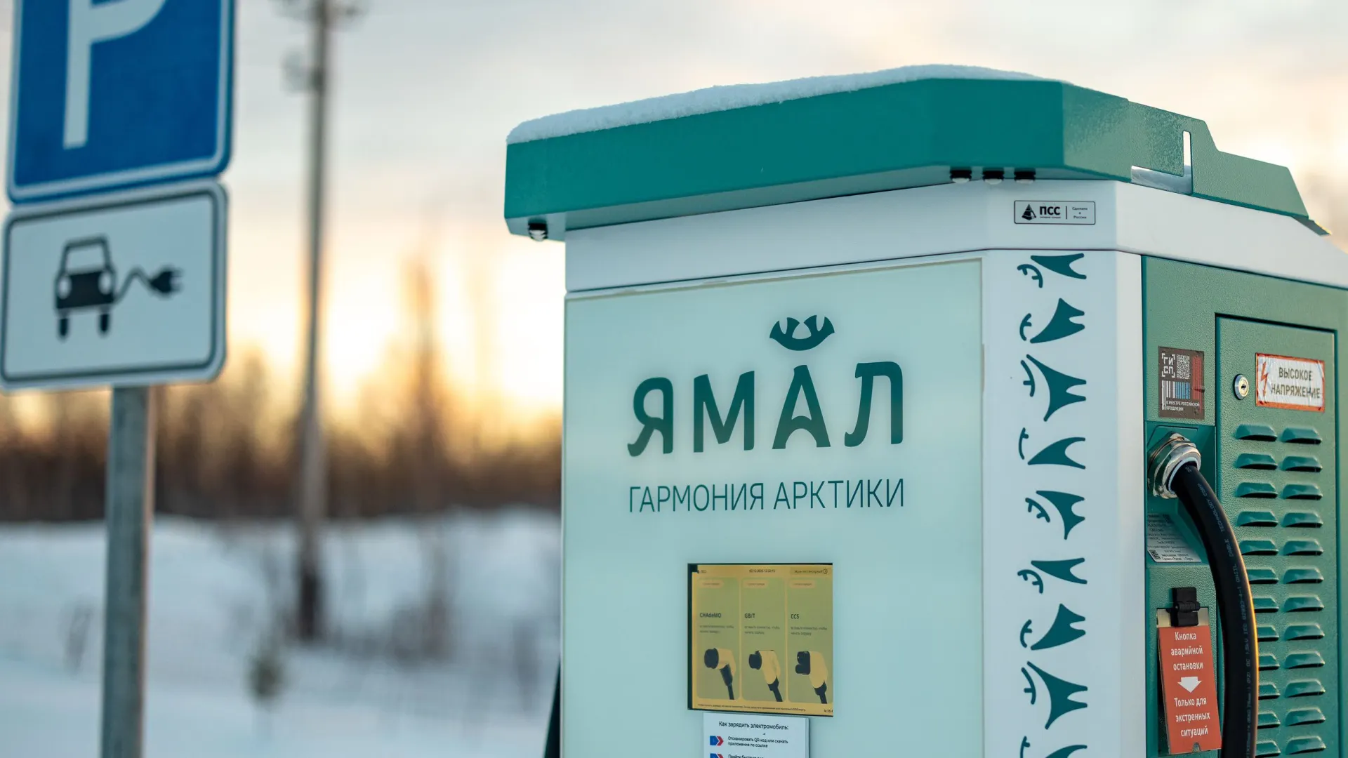 Фото: Сергей Зубков/«Ямал-Медиа»