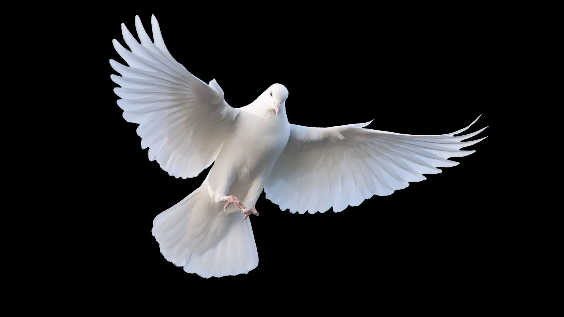 Фото: FotoMikv/Shutterstock/Fotodom