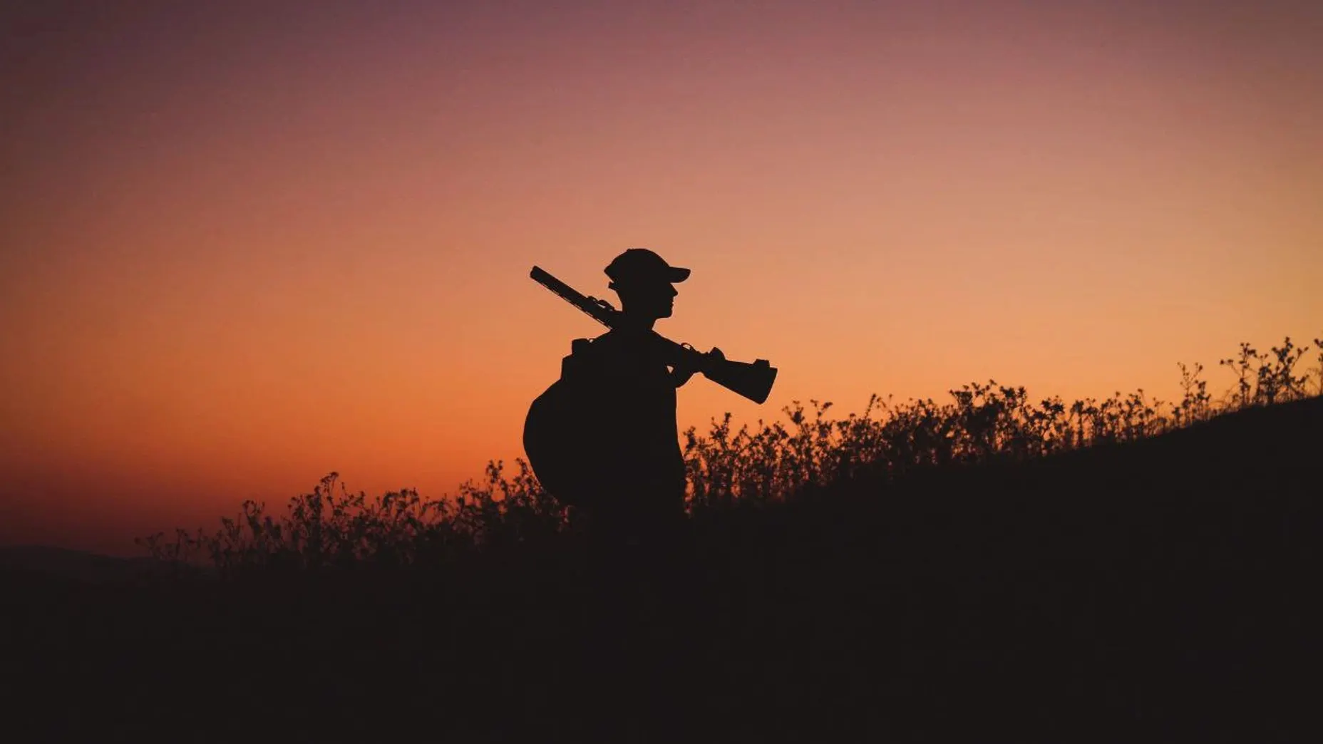 Фото: Pixabay.com