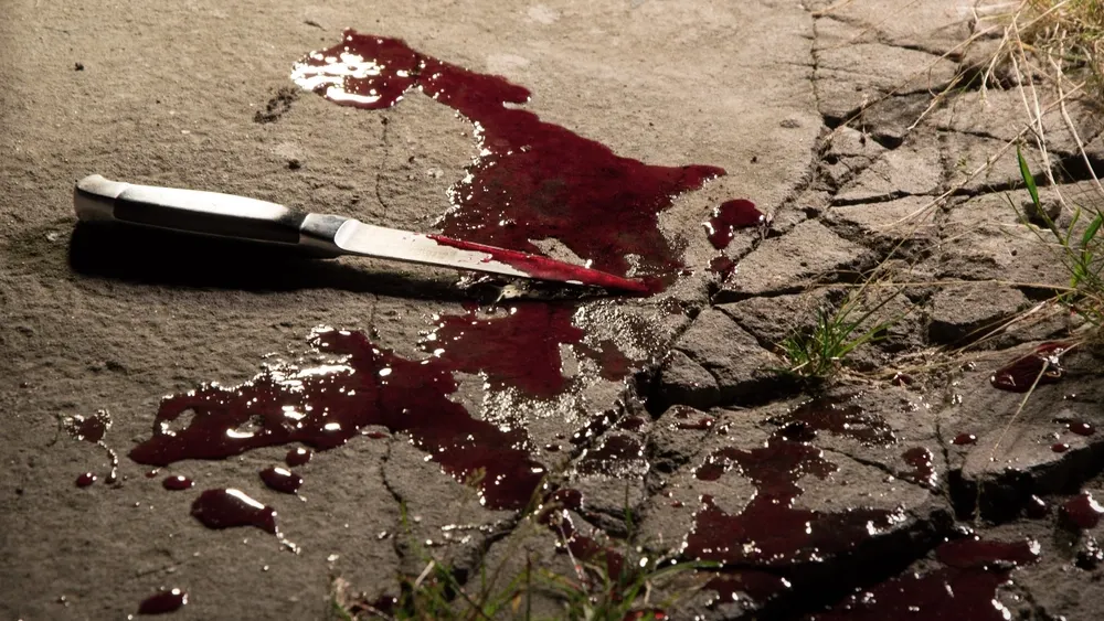 Фото: ArtMari/Shutterstock/Fotodom