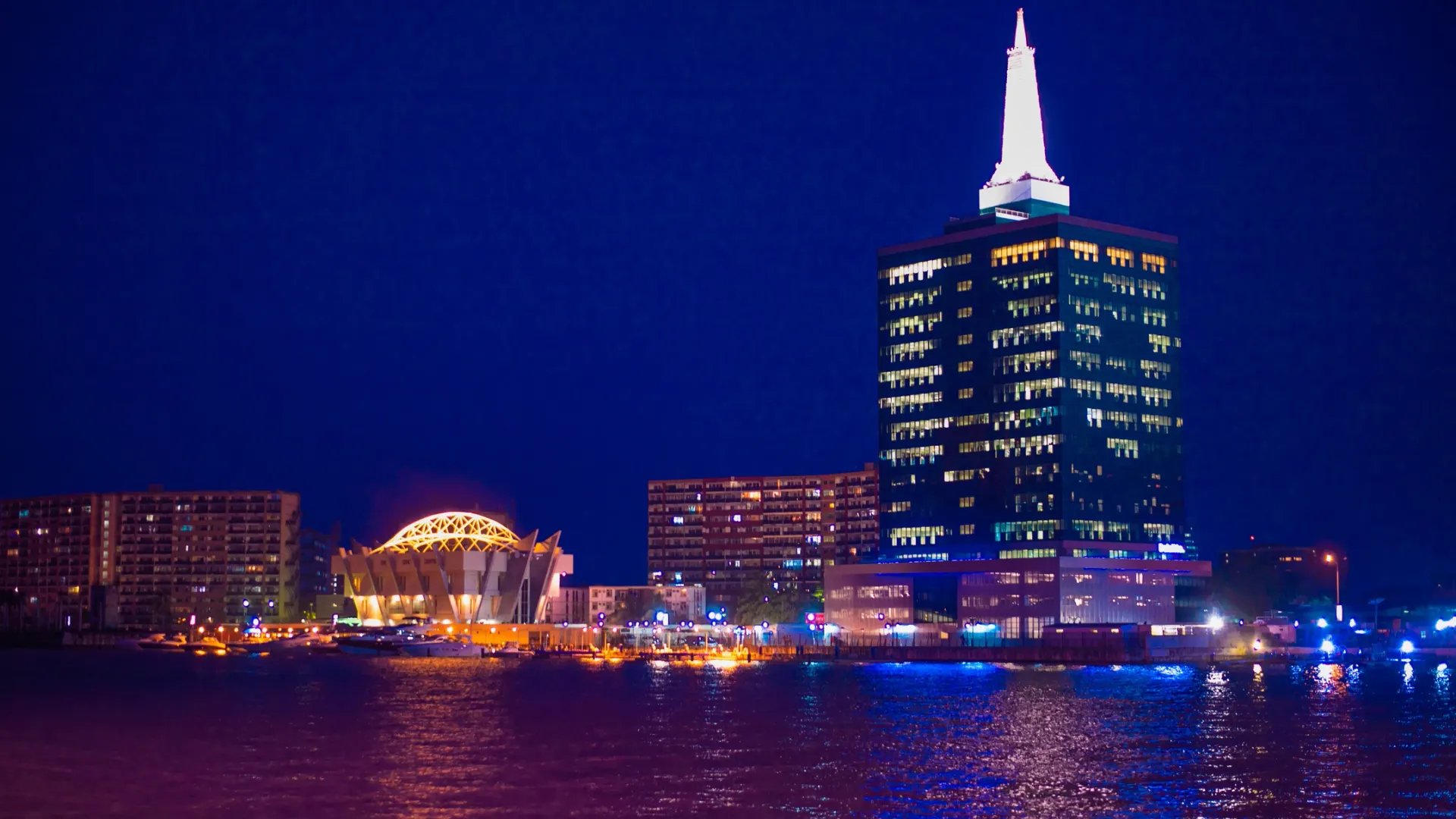 Фото: Alucardion/Shutterstock/Fotodom