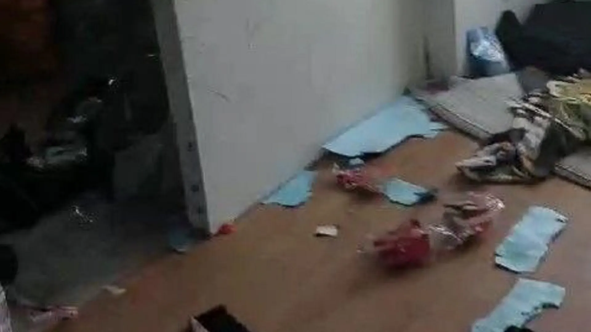 Фото t.me/prok_lenobl