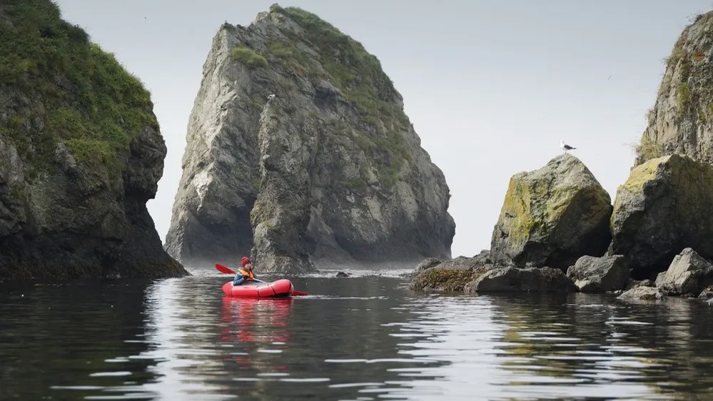 Фото: AntonSokolov/Shutterstock/Fotodom