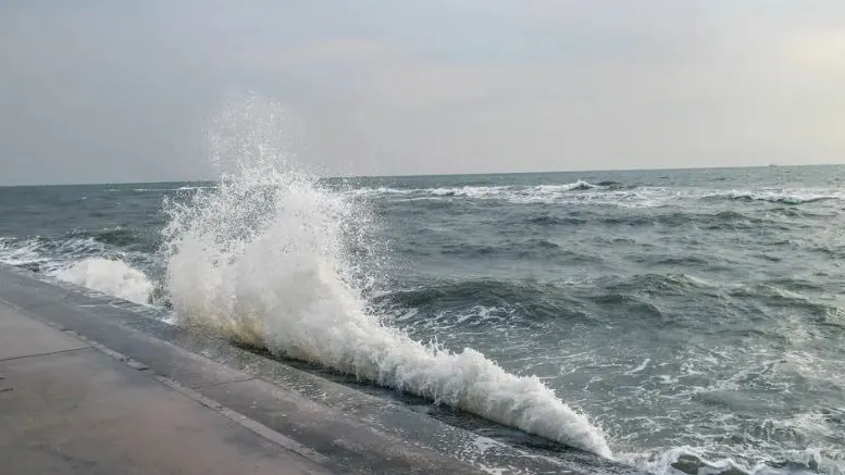 Фото: Phongsakorn Therngwiset/Shutterstock/Fotodom