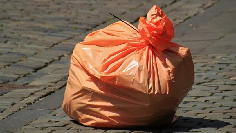 Фото: pixabay.com