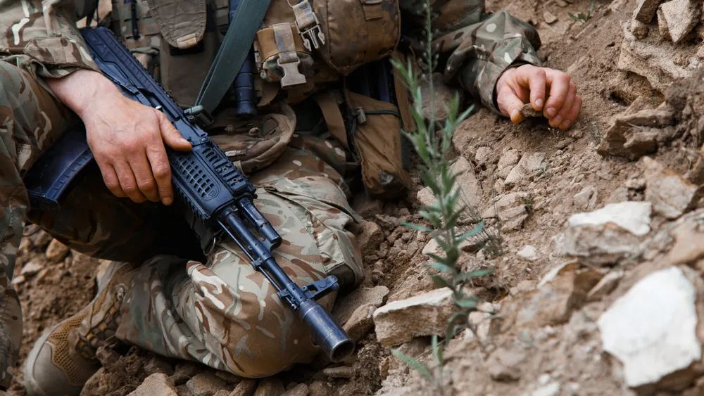 Фото: Sergii Chepulskyi/Shutterstock/Fotodom