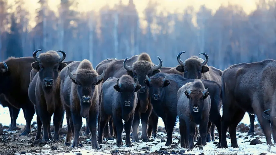 Фото: Kichigin/Shutterstock/Fotodom