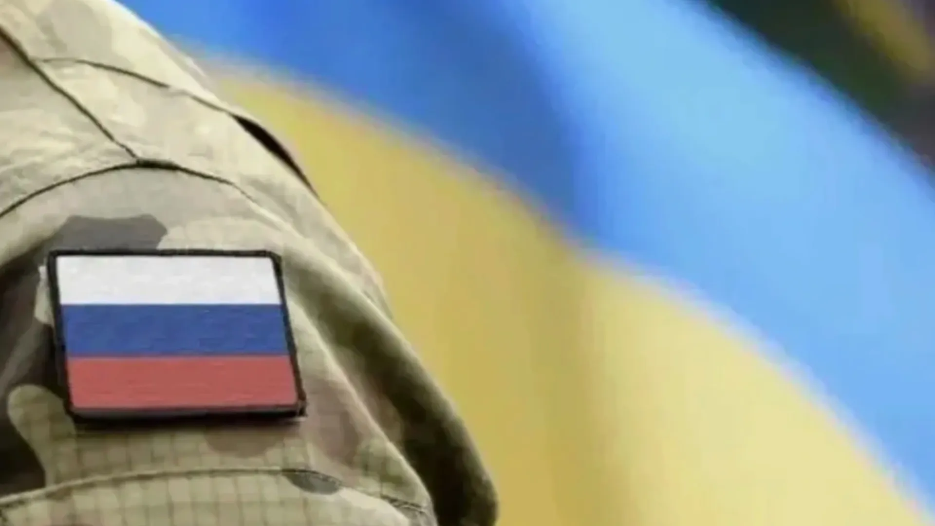 Фото: Bumble Dee/Shutterstock/Fotodom