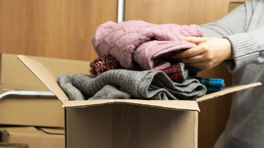 Фото: MorphoBio/Shutterstock/Fotodom