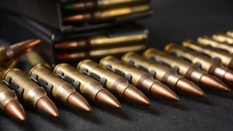 Фото: Natalia Hanin/Shutterstock/Fotodom