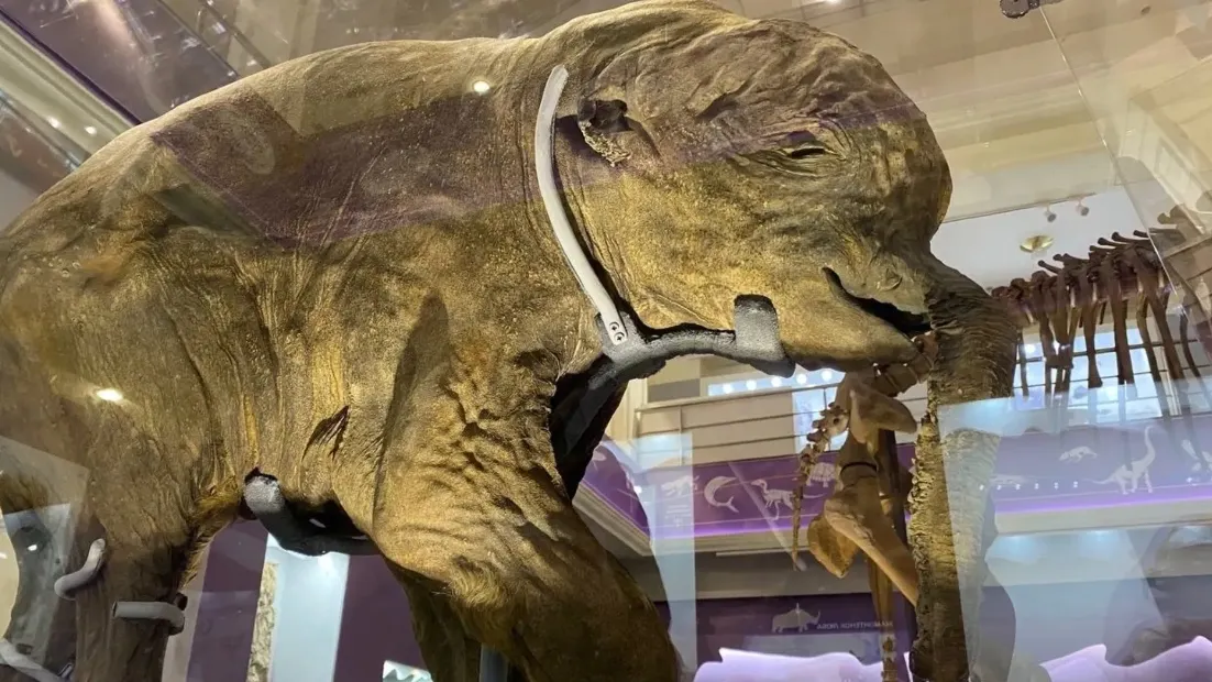 Фото: Анна Пашкова/«Ямал-Медиа»