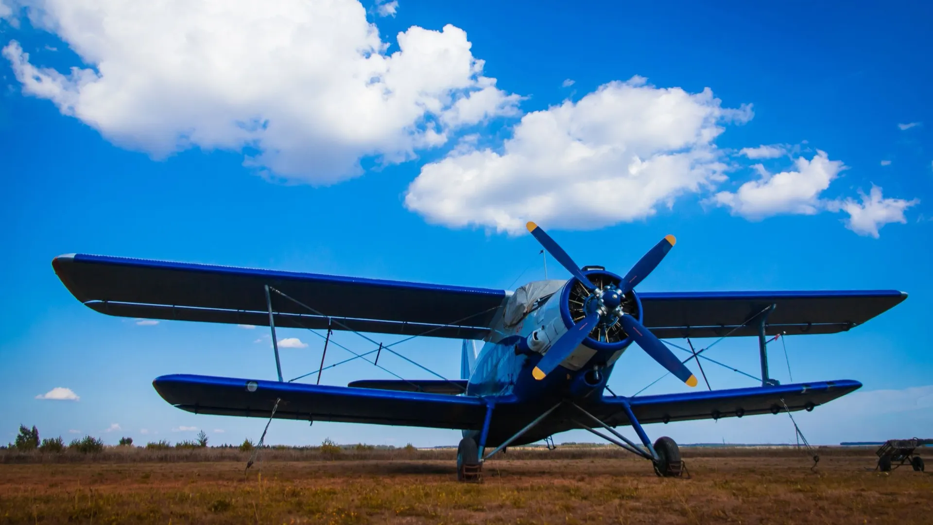 Фото: Almaz Mustafin/Shutterstock/Fotodom