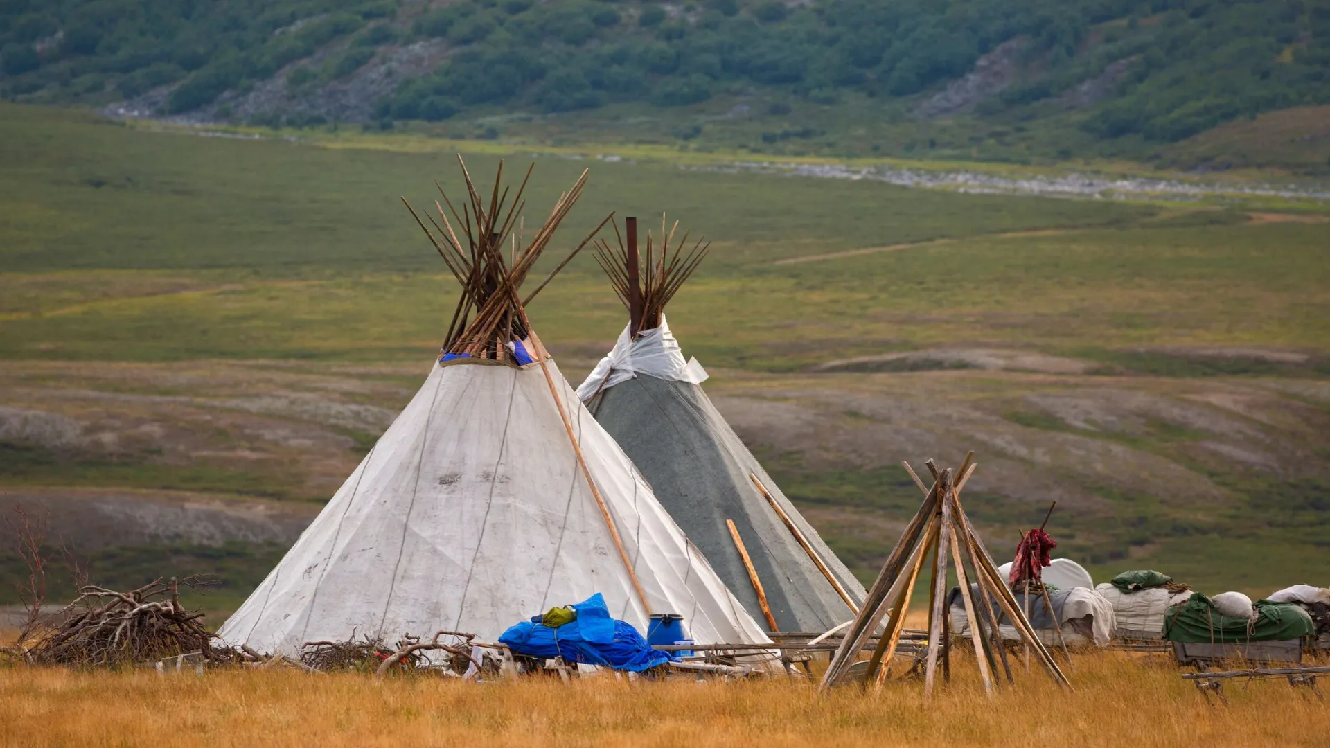 Фото: Shchipkova Elena/Shutterstock/Fotodom